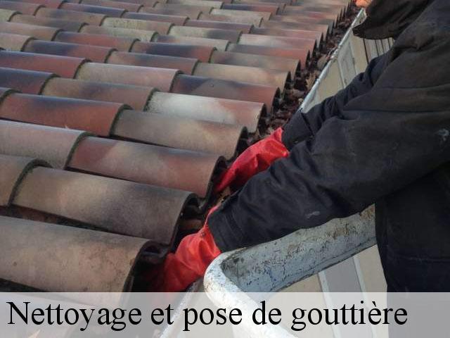 couvreur zingueur gouttiere image description