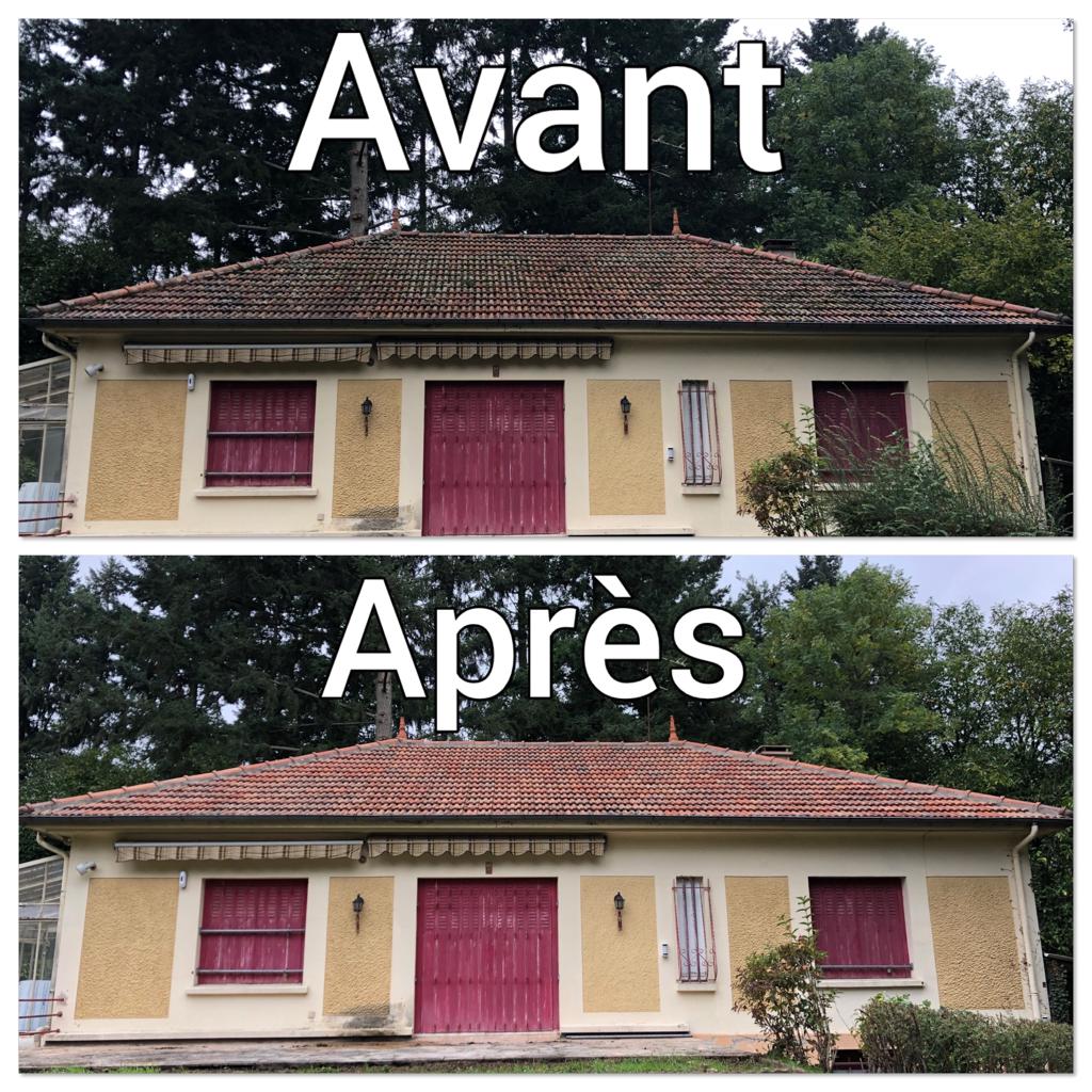 nettoyage demoussage toiture image description